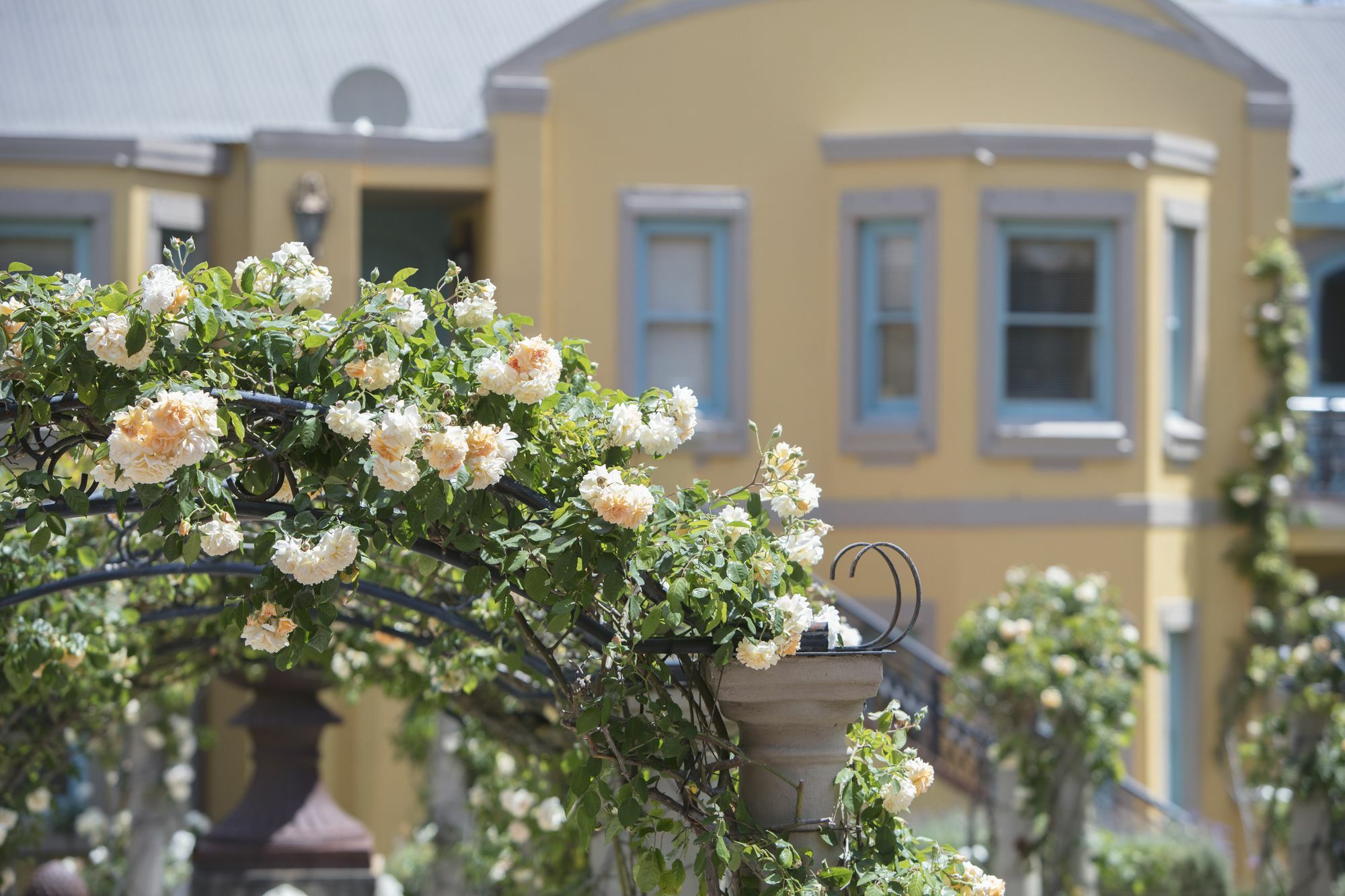 Franschhoek Country House & Villas Bagian luar foto