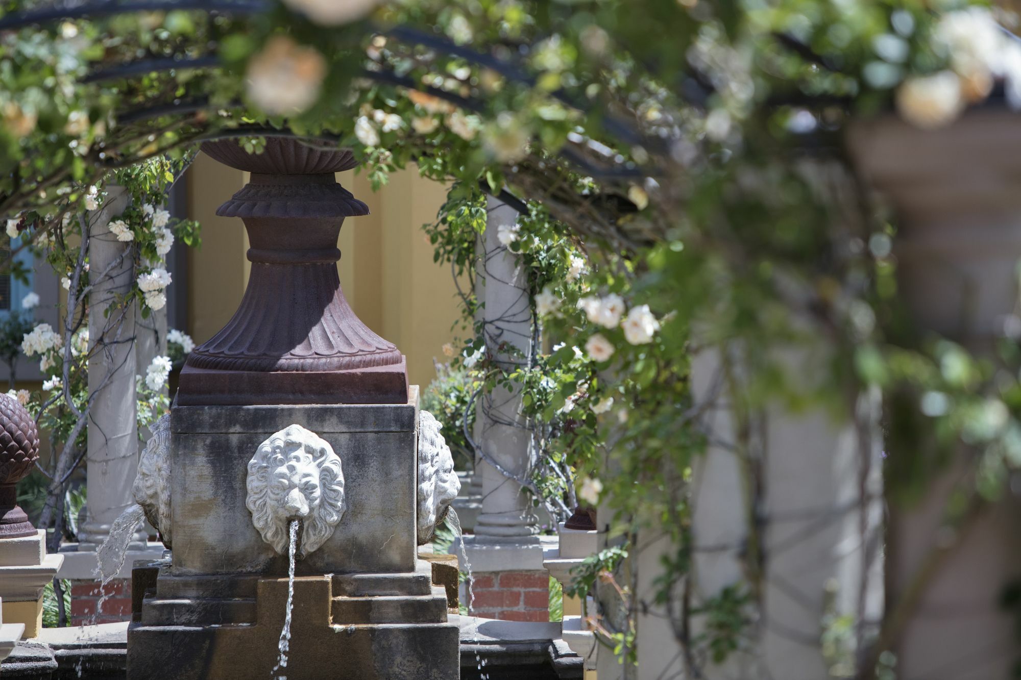 Franschhoek Country House & Villas Bagian luar foto