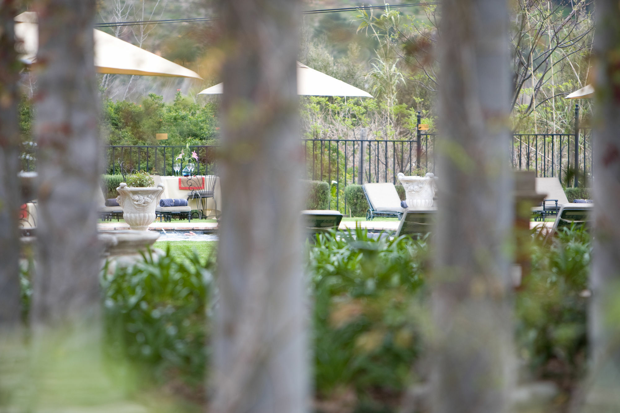 Franschhoek Country House & Villas Bagian luar foto